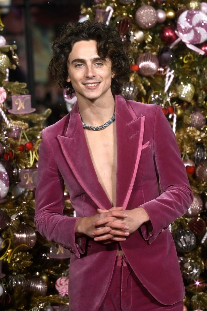 Timothée attended the London premiere 