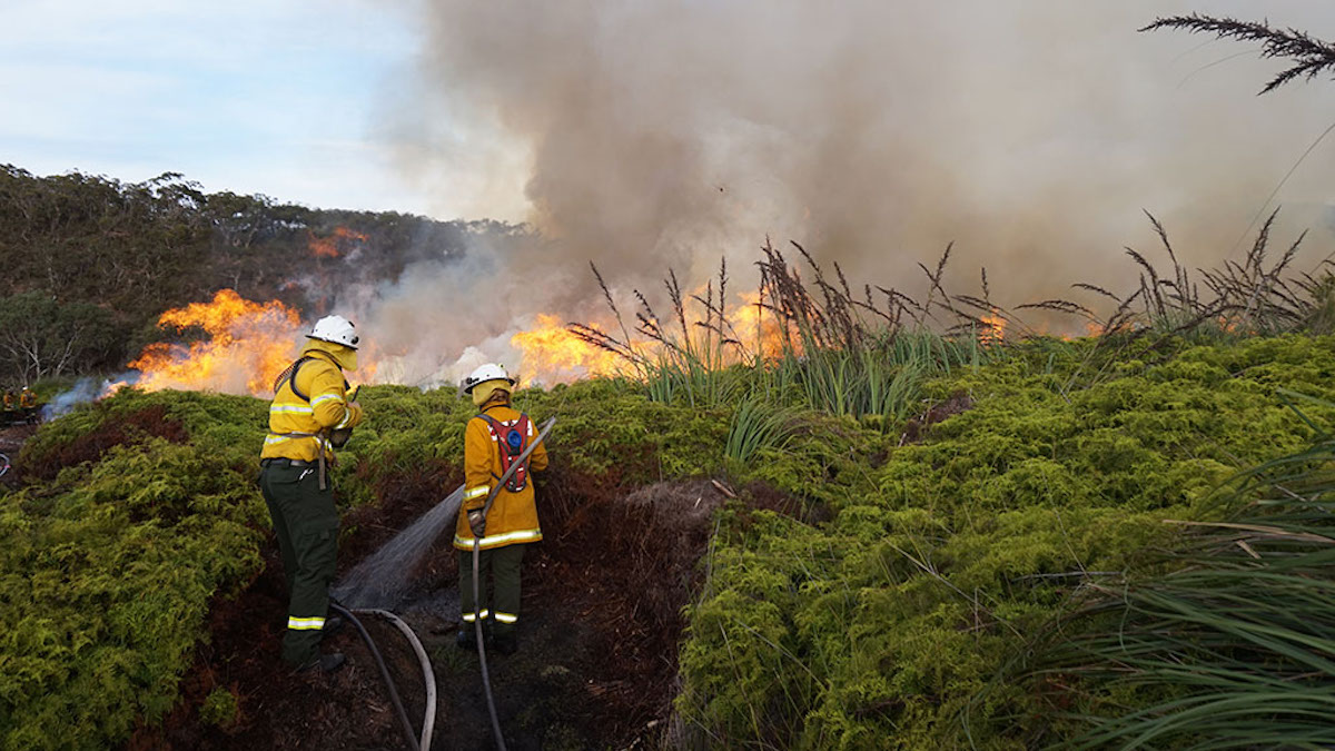 "Severe heatwave in NSW and Queensland increasing fire risks, bushfire warnings, extreme weather alerts, high temperatures, and weather conditions."