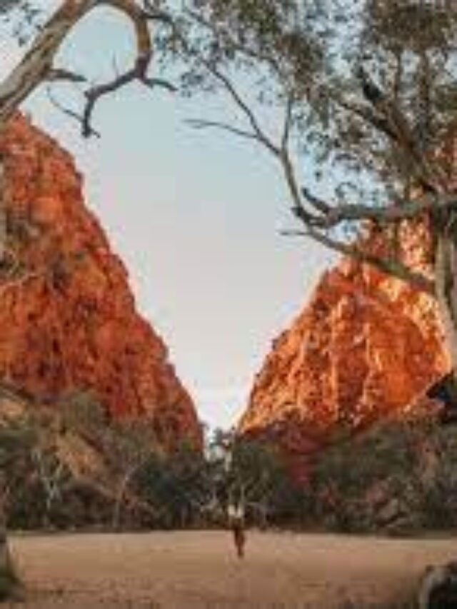 Woman Indecently Assaulted While Jogging in Alice Springs – NT Police Urgently Seek Witnesses