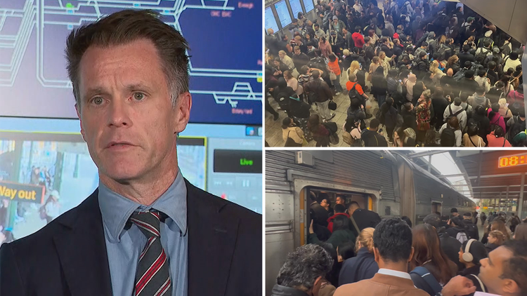 Sydney grass fire disrupts trains T2 Leppington service update Glenfield Leppington delay news