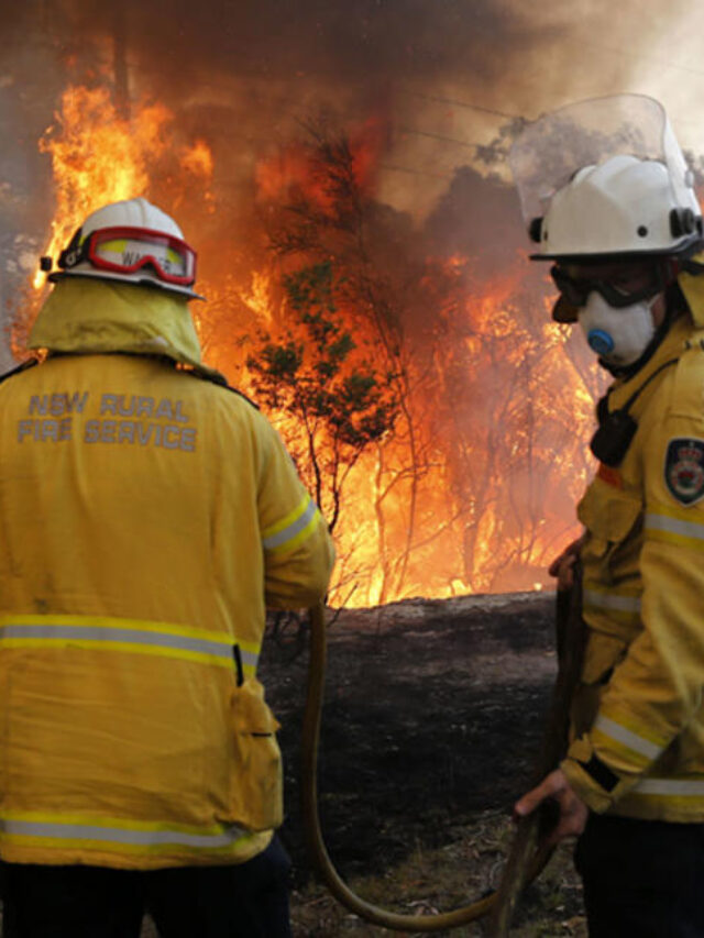 Sydney Grass Fire Disrupts T2 & T5 Trains – Services Resume Between Glenfield & Leppington