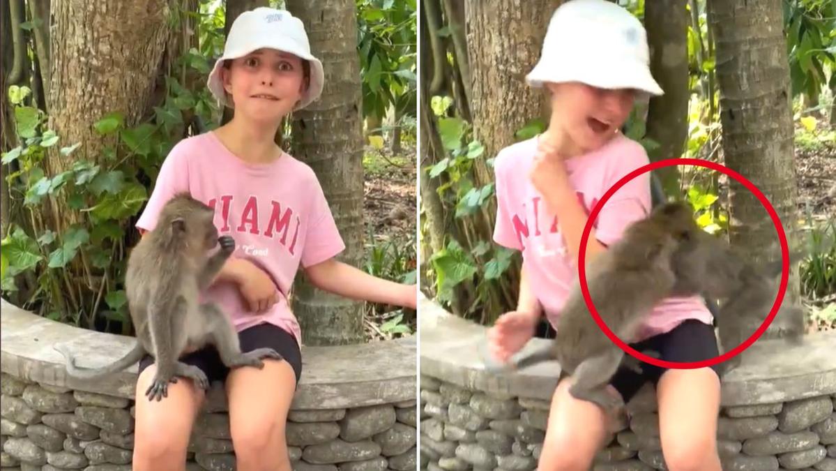 Sydney Mother Warns of Bali Monkey Attack After Daughter Needs Rabies Shots