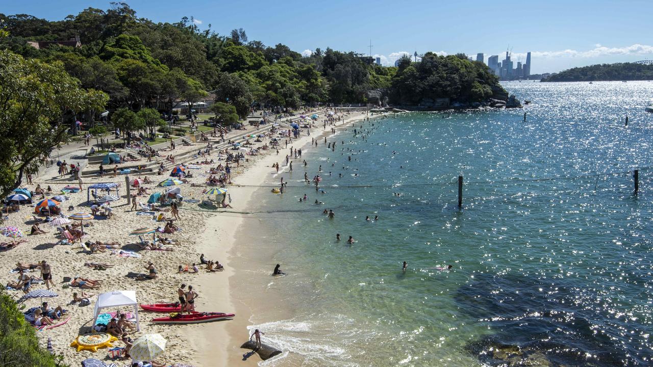 Sydney’s Northern Beaches Reopen After Shark Sightings: Swimmers Urged to Stay Vigilant
