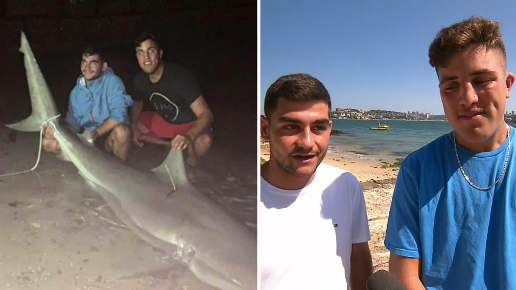 Sydney teenagers bull shark haul on a boat with a massive shark and a scenic Sydney harbor background.