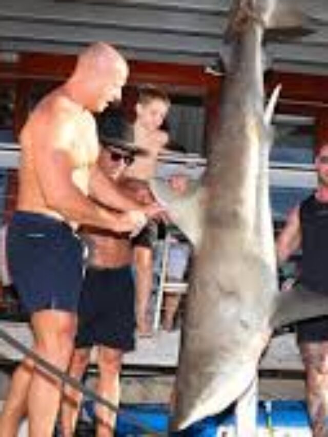 Absolute Chaos in Sydney Harbour as Massive Bull Shark Is Caught Near Nico Antic Tragedy Site