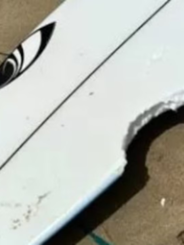 Shark Horror in Sydney: 11YO Surfer Rattled After Miraculous Escape in Second Attack