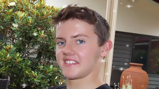 A close-up of a paralysis tick on a leaf, illustrating the cause of tick-induced red meat allergy in Australia.