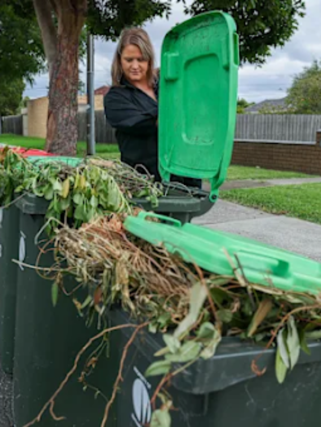 Stinky Streets in Melbourne North Why Bins Are Still Full Today