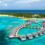A breathtaking turquoise lagoon with coconut palms swaying over a powder-white sand beach under a clear blue sky.